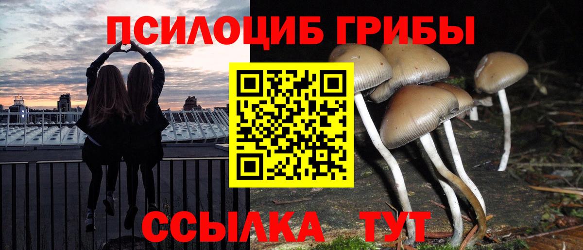 Галлюциногенные грибы Magic Shrooms Гуково