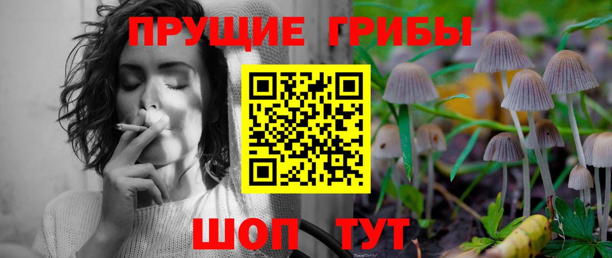 продажа наркотиков  Псилоцибиновые грибы ЛСД  Вход с VPN  Галлюциногенные грибы MAGIC MUSHROOMS  Гуково 