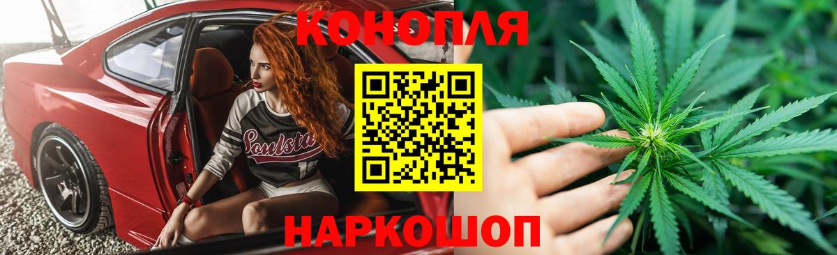 Марихуана сатива Гуково